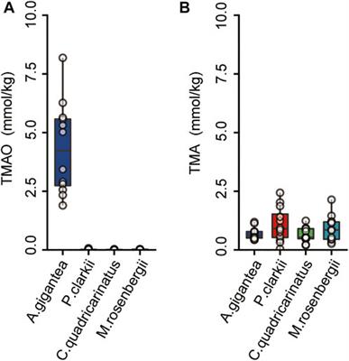 Frontiers | Morphological and molecular evolution of hadal amphipod’s